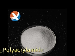 การบําบัดน้ําแบบพอลิอาครีแลมิด ฟลอคคูลันต์
