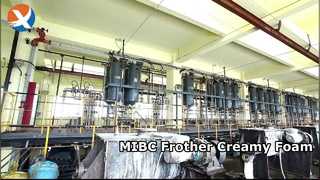 เครื่องตีฟองนม MIBC